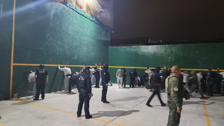 Han aumentado las revisiones en cerezos, más de 100 mil en 2023