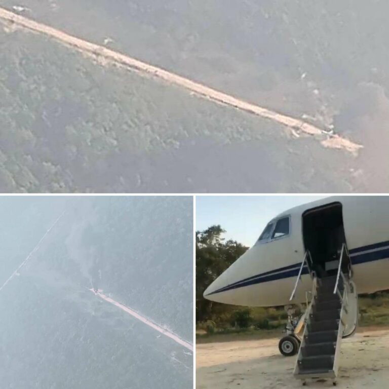 Derriban Fuerza armada de Venezuela un avión que salió de México