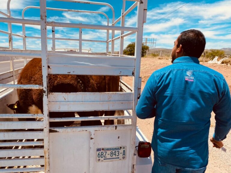 Desarrollo rural capacita en movilización al personal