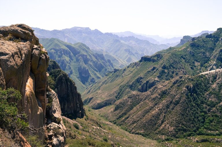 Caminata por Día de la Familia