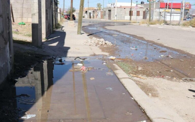 «Chihuahua sin fugas»