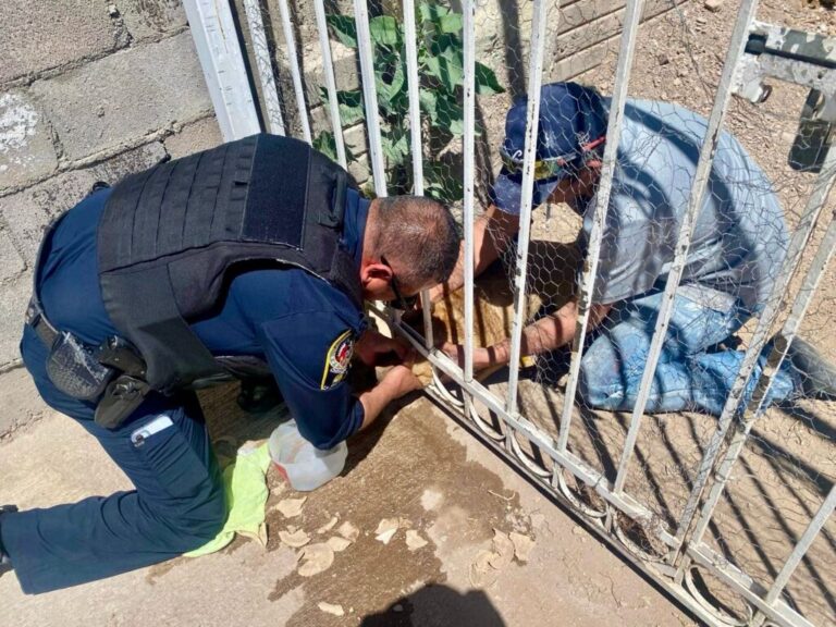 Perrito salvado por policías municipales