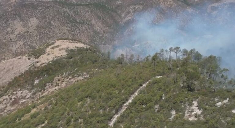 Se toman acciones contra incendios forestales