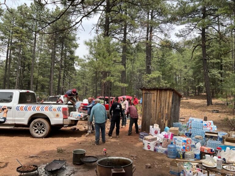 Proteccion civil convoca a donar insumos para brigadas contra incendios forestales