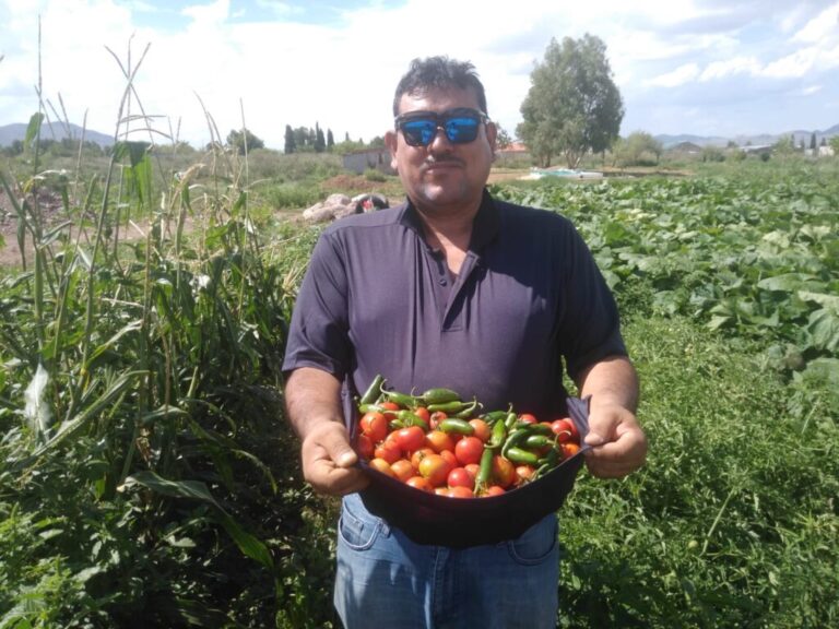 Programa «Cultiva la vida» es promovido por el estado