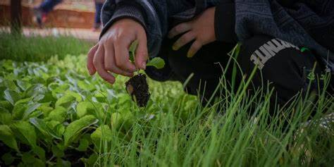 Se llevarán a cabo acciones por semana de la Tierra