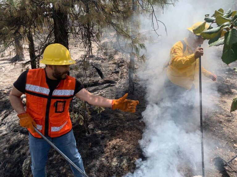 Nuevo curso para prevenir y combatir incendios