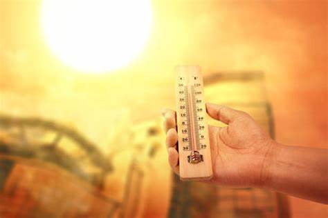 2025 podría cerrar como el segundo o tercero más cálido jamás registrado