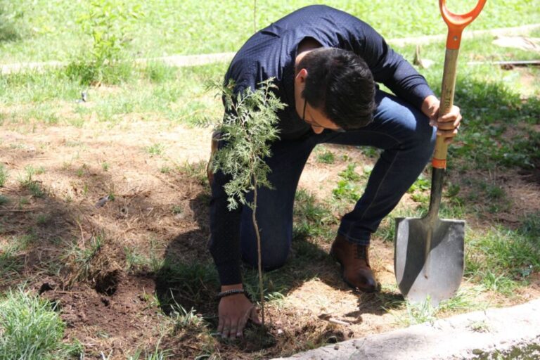 Facultad de FyL recibe donación de plantas