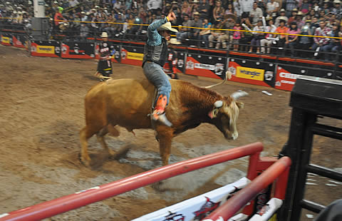 Chihuahuenses participan en monta de toros en la Feria de Santa Rita