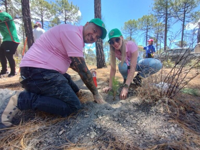 Fundación Abril Félix plantó 200 pinos en la Sierra