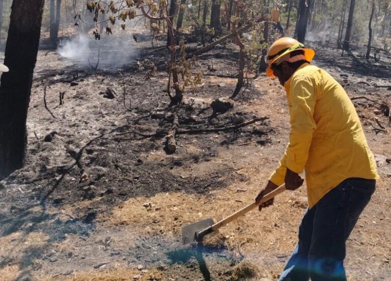 Brigadistas atienden incendios