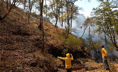 Todavía hay 121 incendios forestales activos