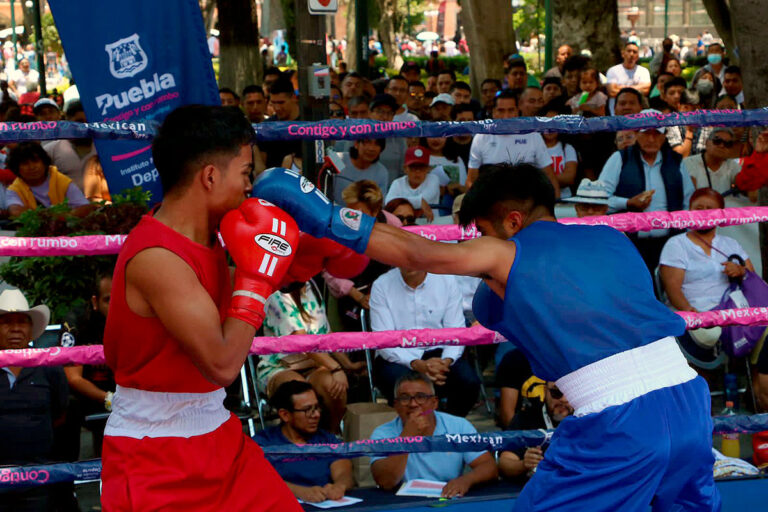 Torneo Box de Barrios