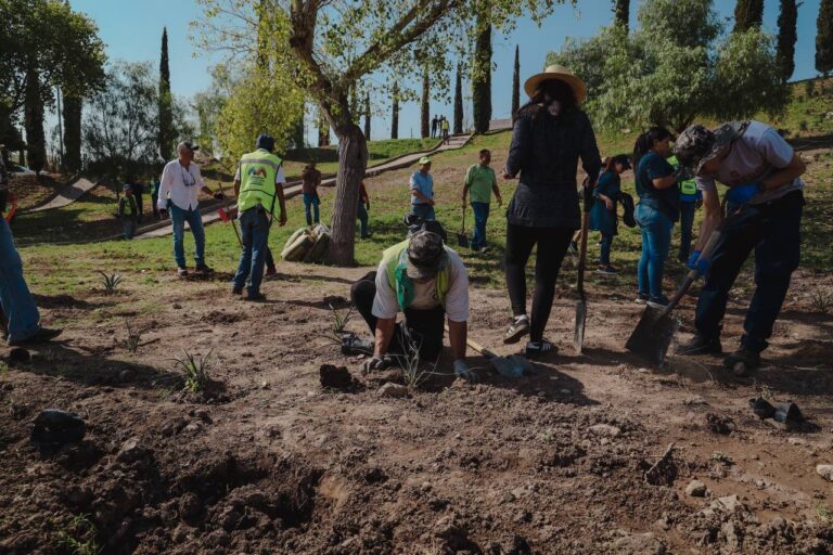 Gobierno y Grupo México reforestan Palomar