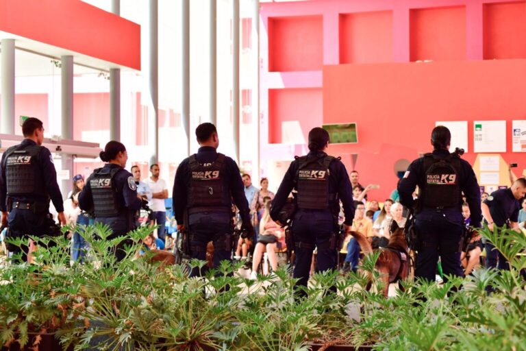 Grupo de K-9 se presenta en CRIT Teletón