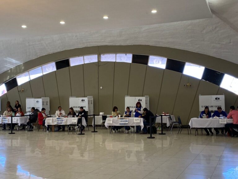 Panistas salen a votar por su dirigente