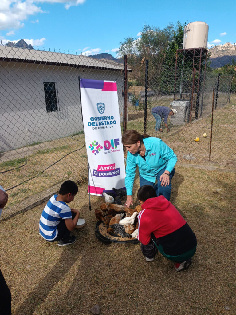 DIF entrega aves de corral a albergues