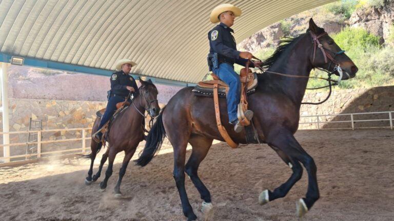 Policía montada apoya con patrullajes