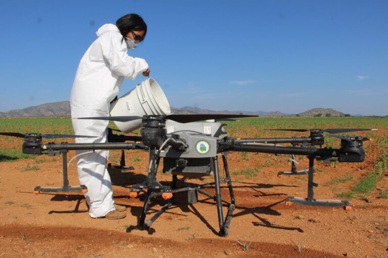 Aumento presupuestal de campañas sanitarias beneficia a agropecuarios