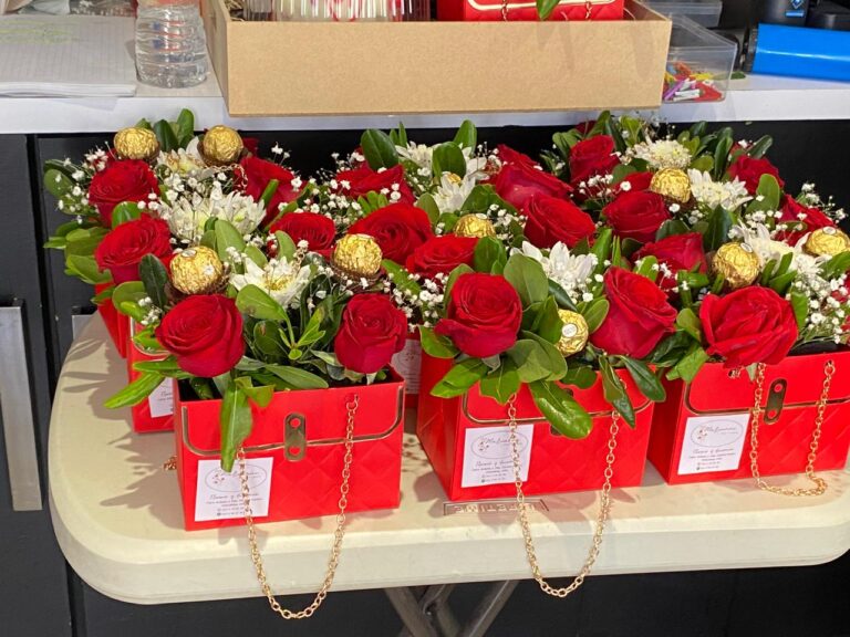 Comienzan ventas del 14