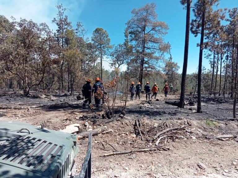 7 incendios activos en el estado
