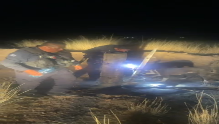 Policias llevan a cabo rescate y adopción de perro abandonado