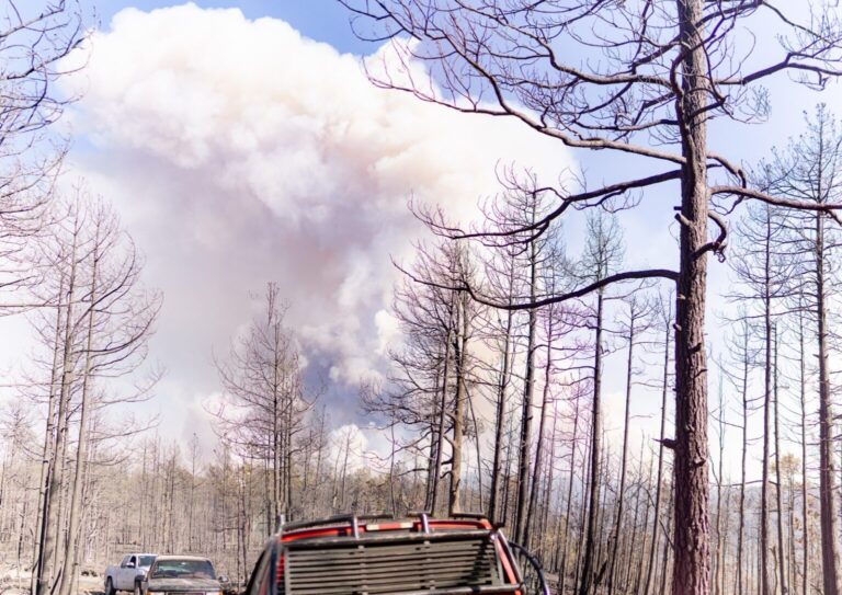 Casi 20 incendios forestales activos