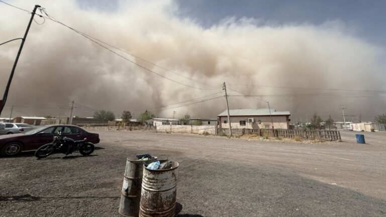 Chihuahua como de película por polvo