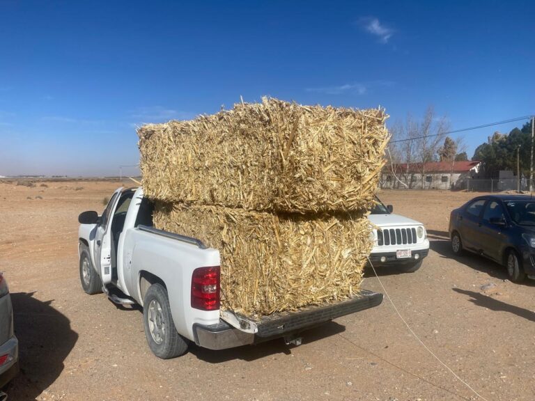 Desarrollo rural entregó 90 toneladas de rastrojo de maíz
