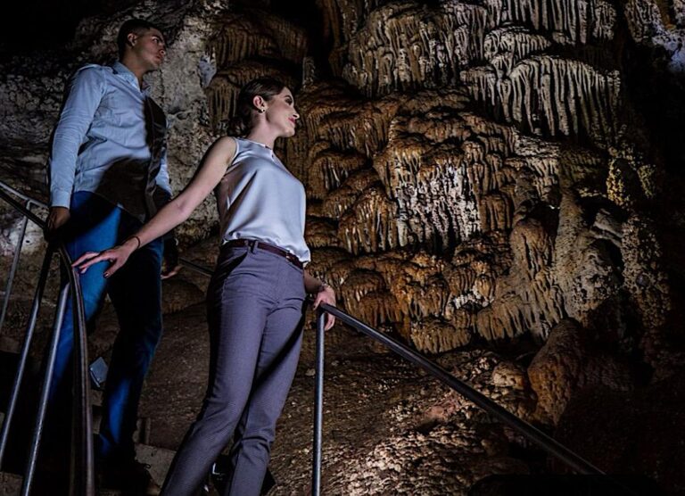 Chihuahua participante en «Lo mejor de México 2025»