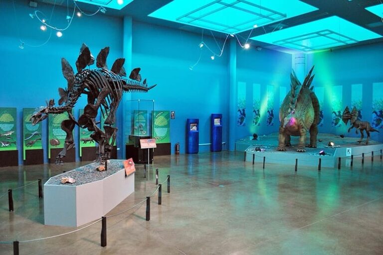 15 aniversario del Museo del Desierto Chihuahuense