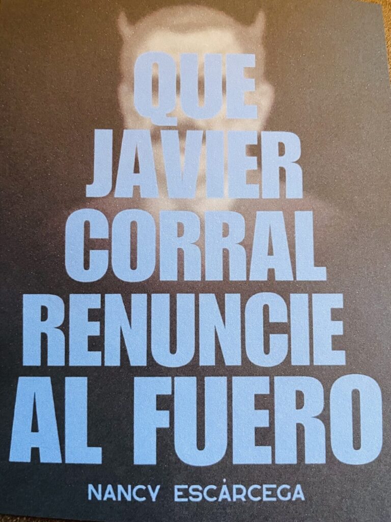 Nancy Escarcega retó a Javier Corral a renunciar si comprueba las descalificaciones en su contra
