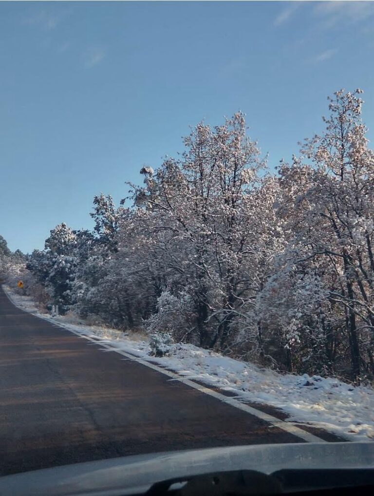 Si nevó!, CEPC confirma nevada en madera