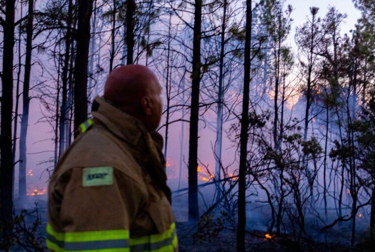 Refuerzan a combatientes para incendios forestales