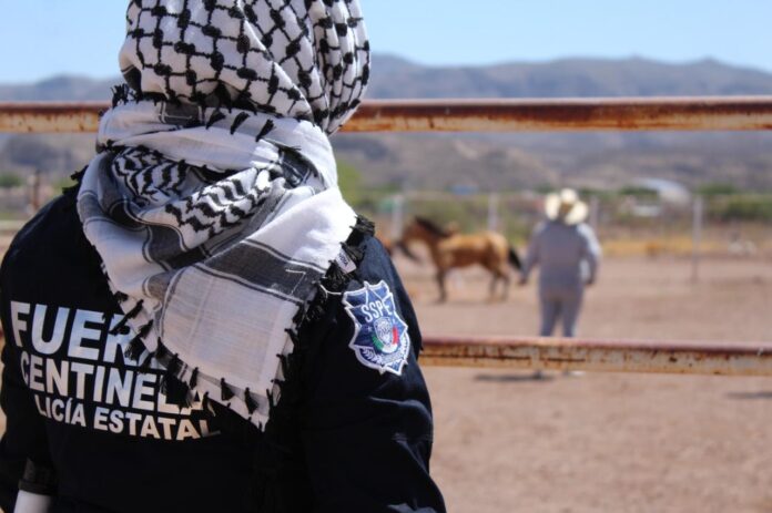 equinoterapia cerezo