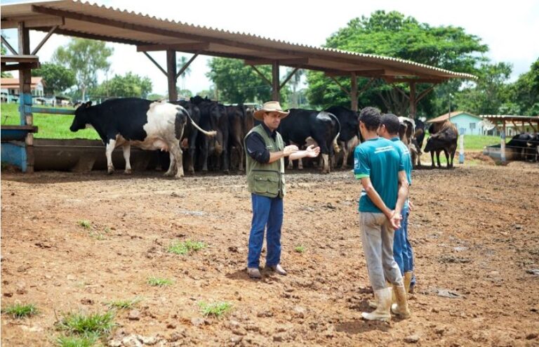 Cierra convocatoria de servicios de capacitación y asistencia técnica