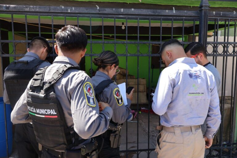 Municipio alerta con denuncias de maltrato animal