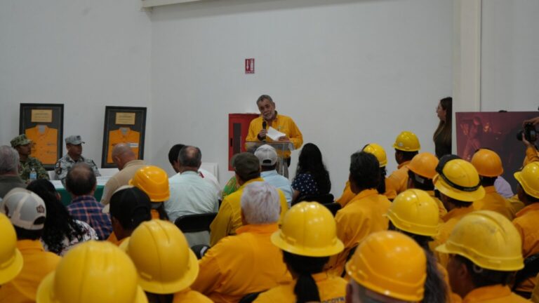 Entregan reconocimientos a brigadistas