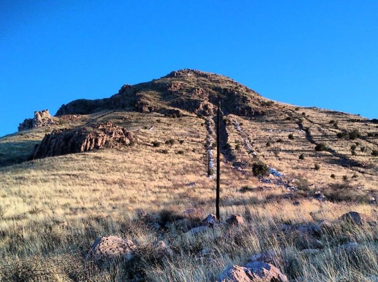 Cuidado con animales silvestres si practicas senderismo