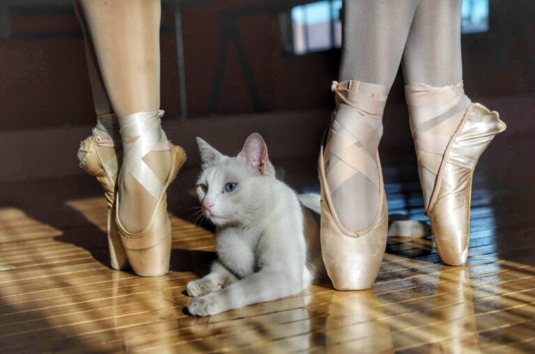 Artes de la UACH invita a jóvenes