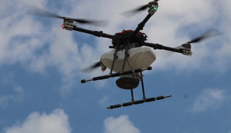 Reforestación en Sierra Tarahumara