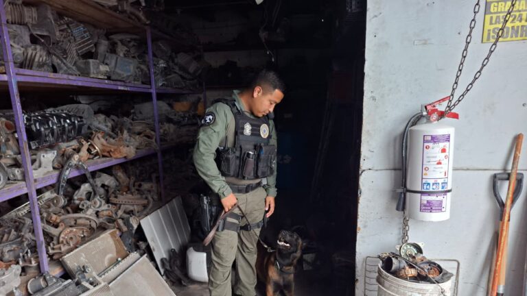 Supervisan yonques para descartar presencia de sustancias nocivas