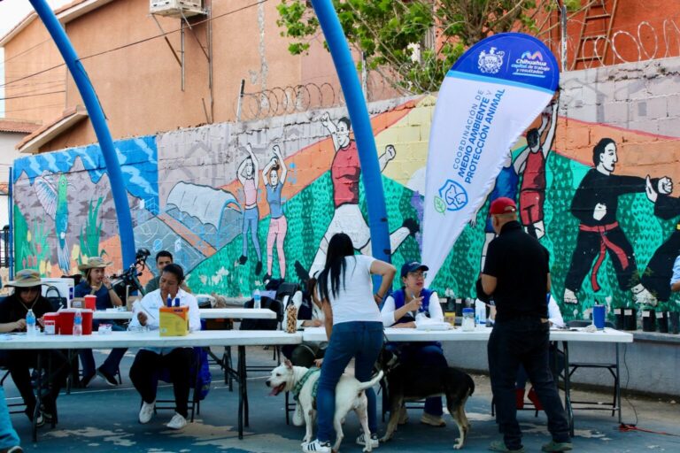 Más de 1,100 servicios se dieron en Chihuahua 2000