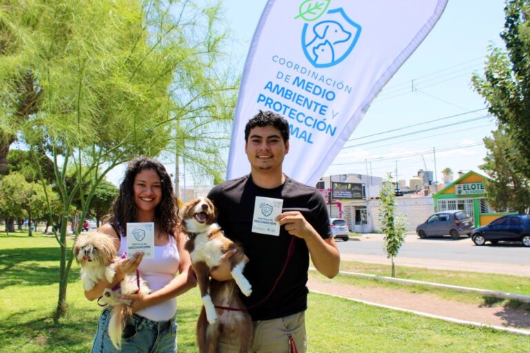 342 mascotas recibieron un servicio gratuito