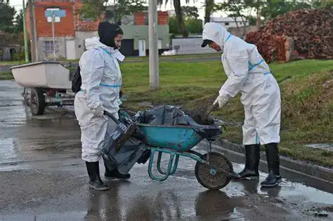 Tras huracán, comienzan con limpieza de destrozos
