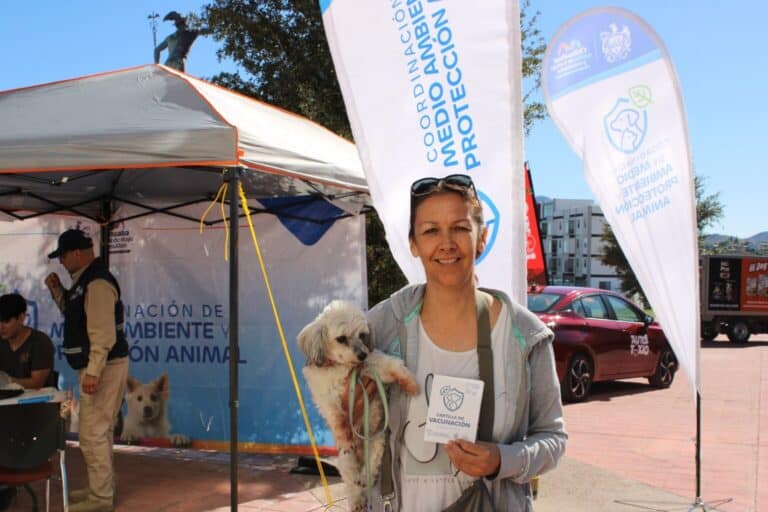 Servicios gratuitos a mascotas en colonia Labor de Terrazas
