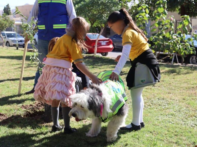 Niños y Municipio reforestan parque Alamedas