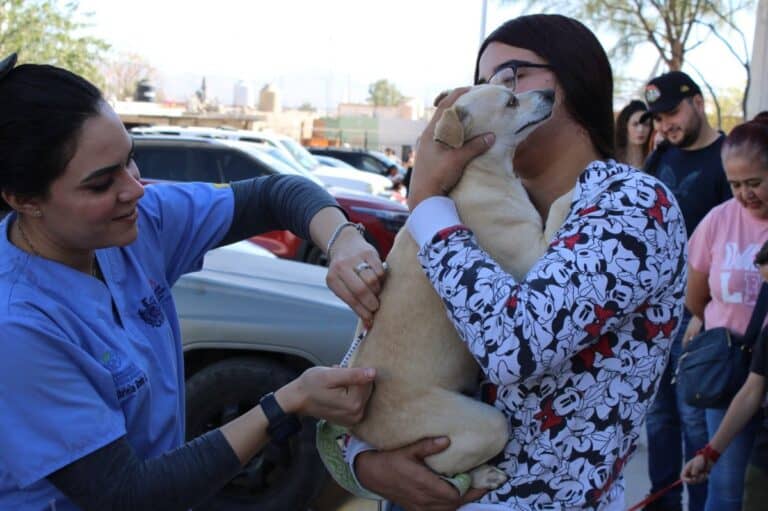 Municipio ofrece servicios gratuitos para mascotas en Riberas de Sacramento