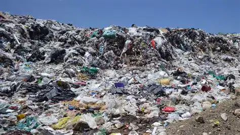 Relleno sanitario con 35 por ciento de su limite